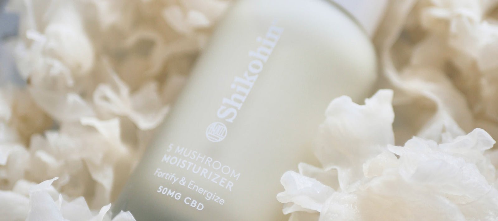 5 Mushroom Moisturizer: The Best Energy for Your Skincare