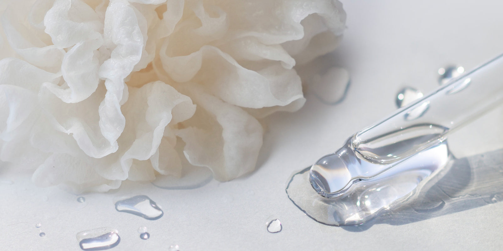 Science Breakdown: Snow Mushroom vs. Hyaluronic Acid in Skincare