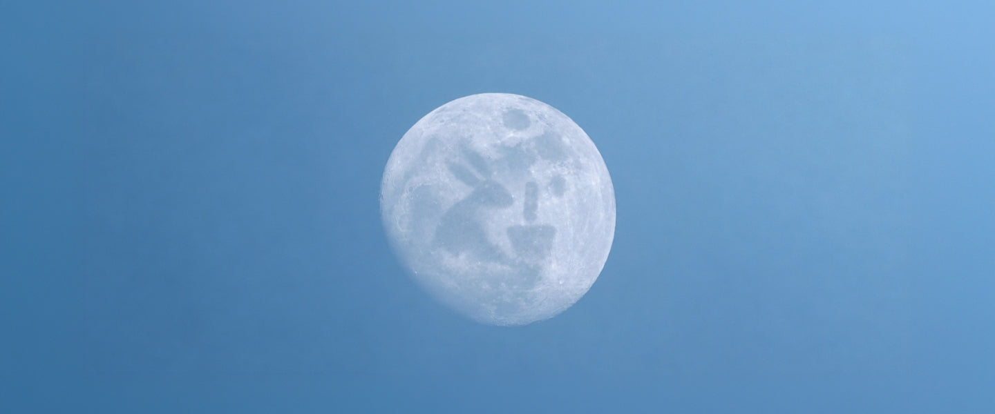 Tsukimi: What Japan Sees in the Harvest Moon