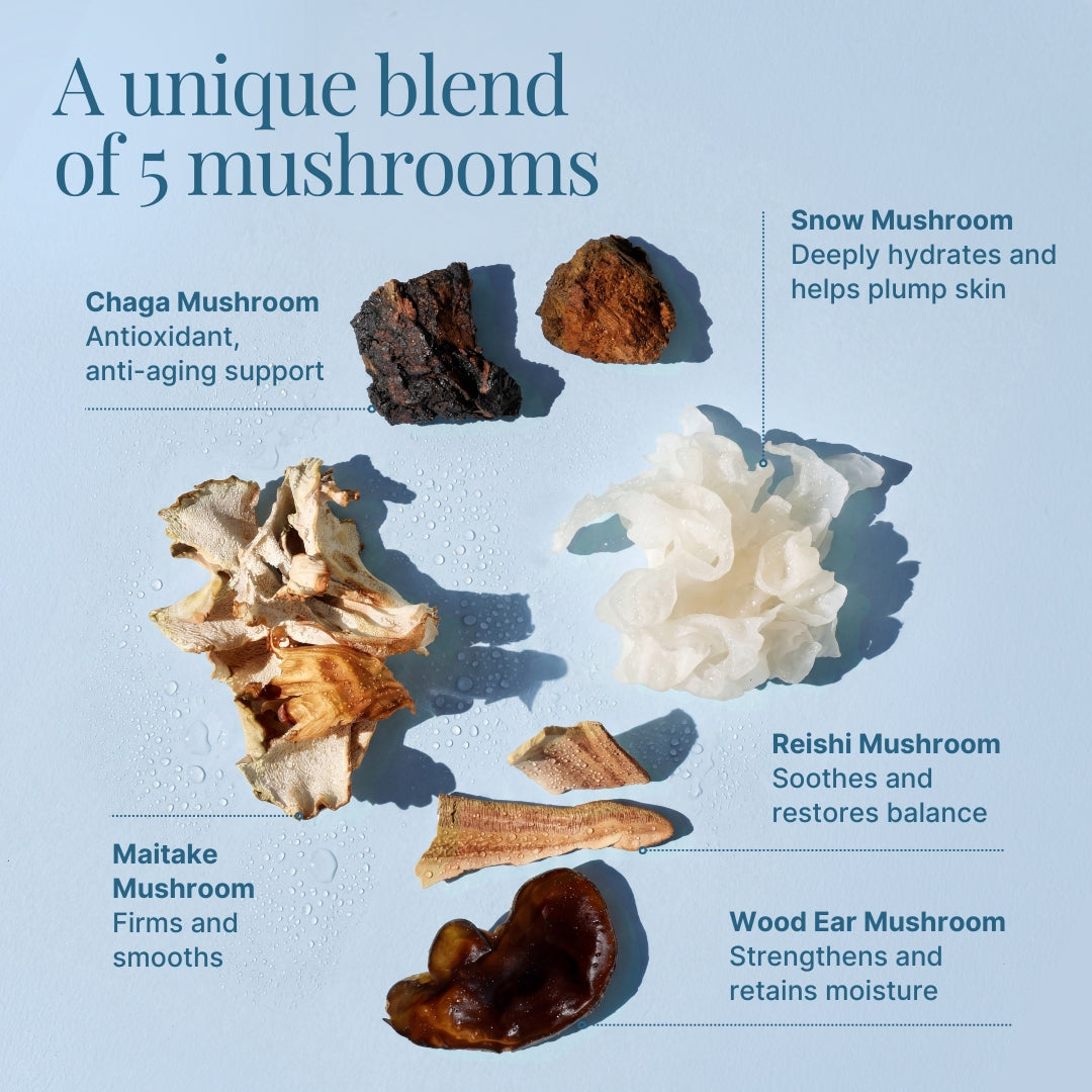 5 Mushroom Moisturizer