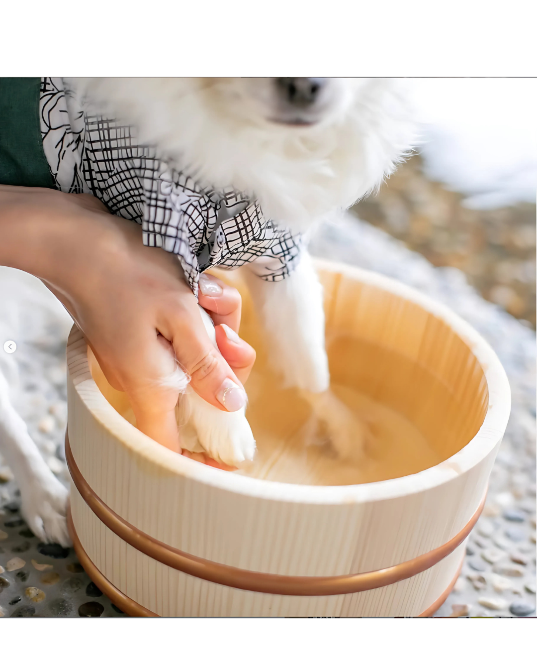 Pet Onsen Treatment | Shikohin Selection