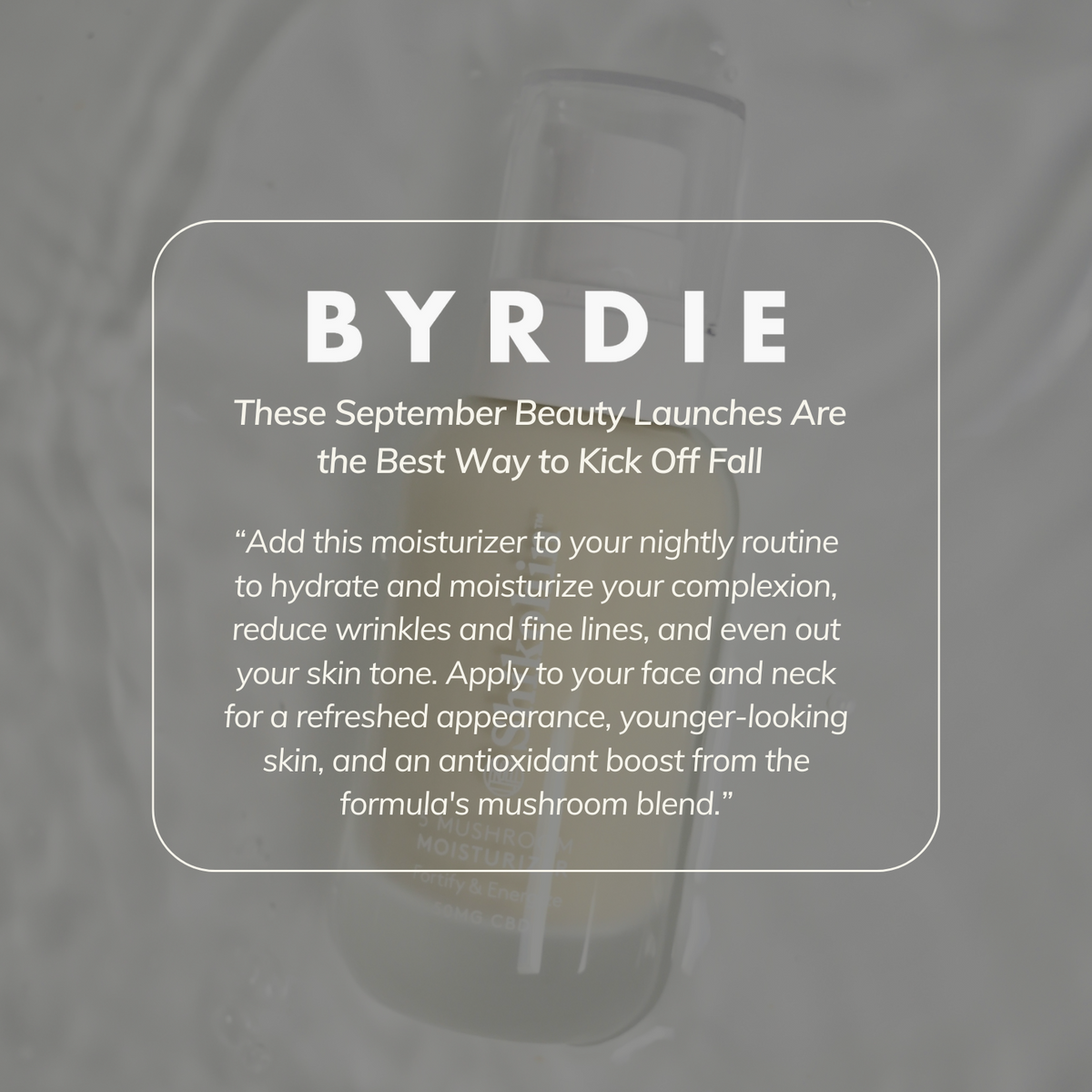 5 Mushroom Moisturizer