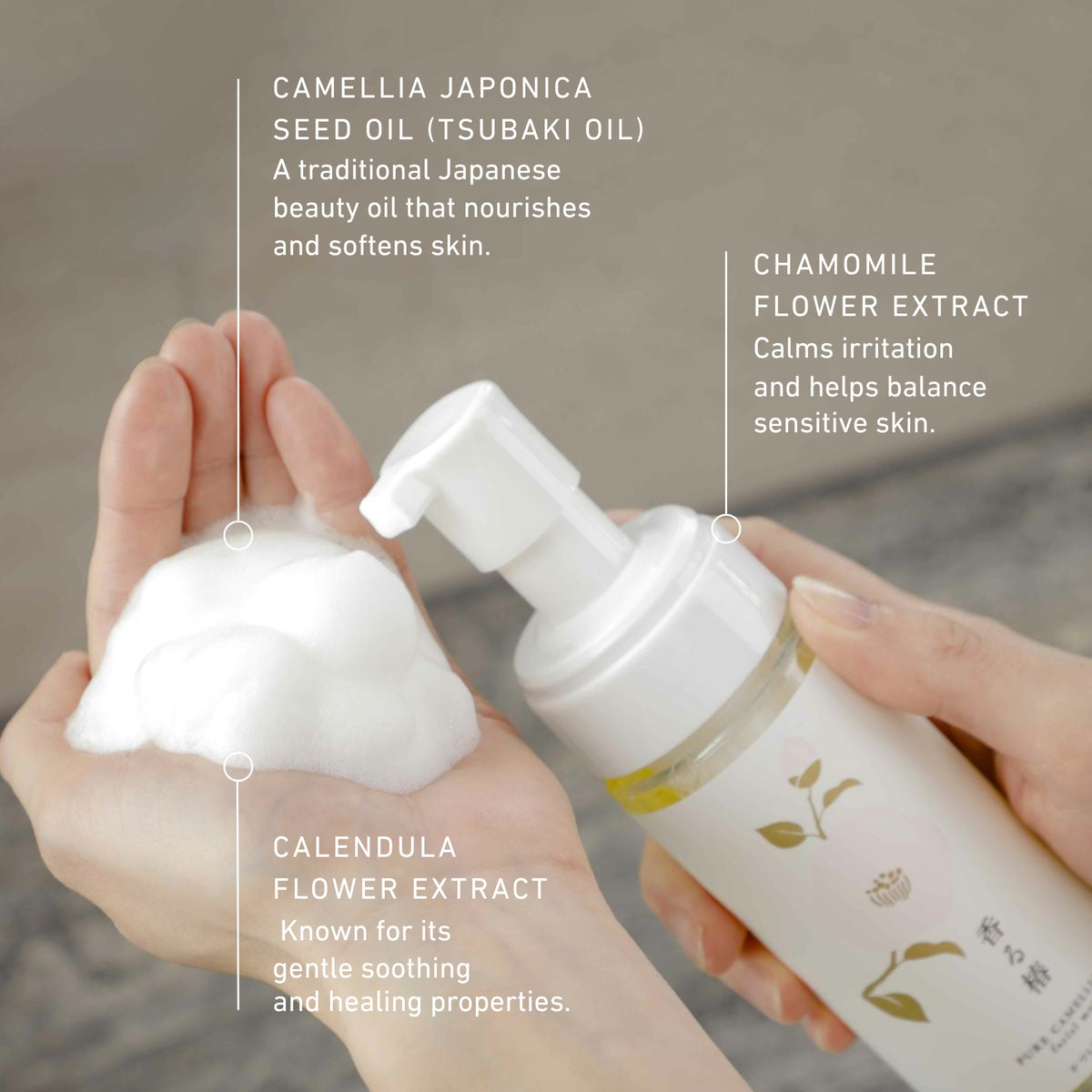 Camellia Foam Cleanser