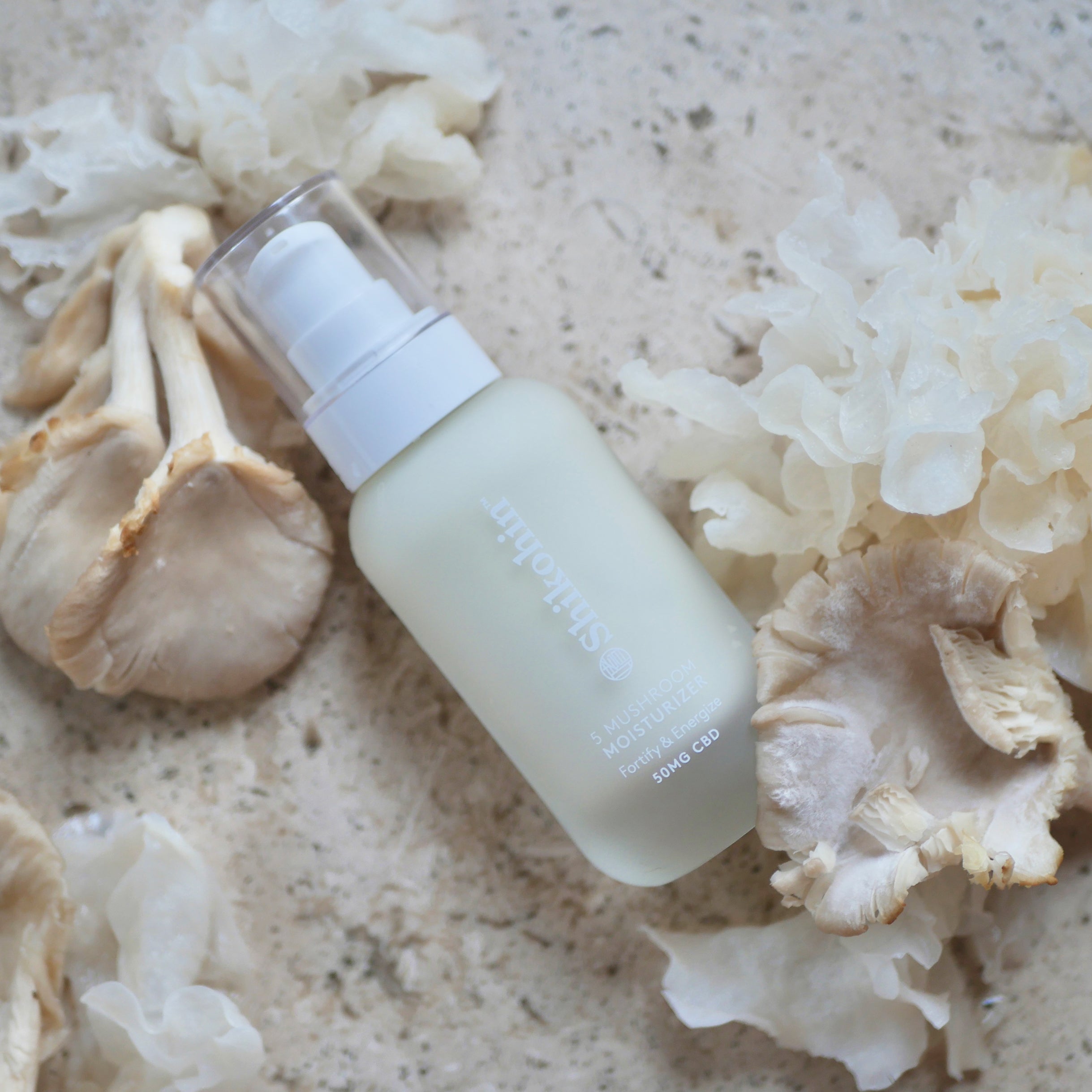 ミキモトクレジングクリーム、ローション、保湿クリーム、フォーム、さっちー 31_0227_04.jpg