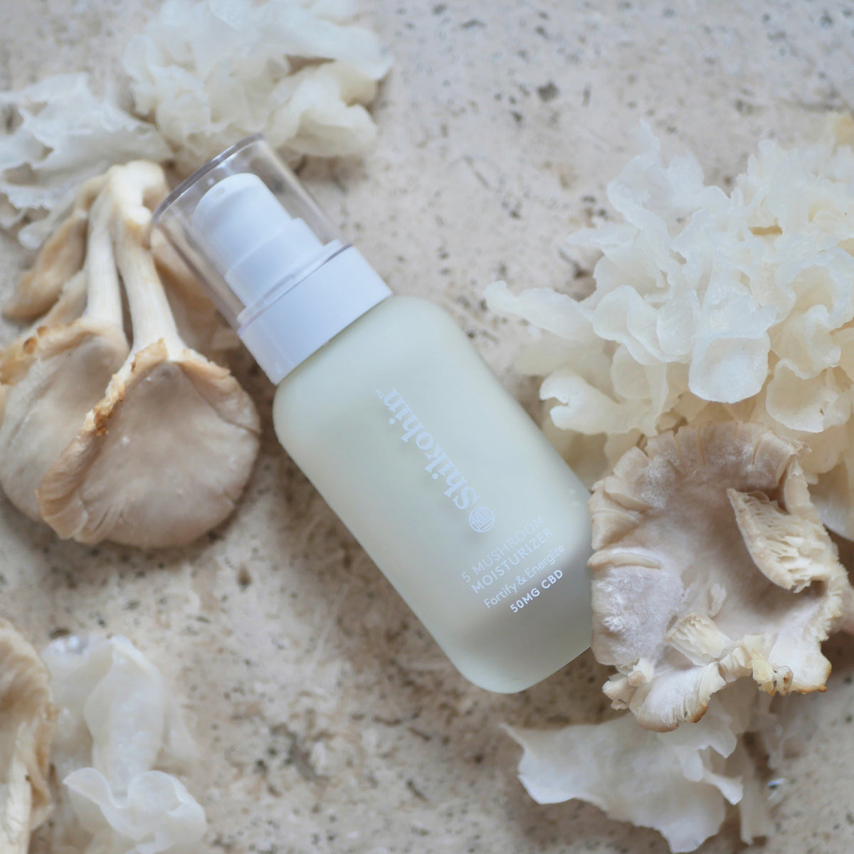 5 Mushroom Moisturizer Personal Care Shikohin   