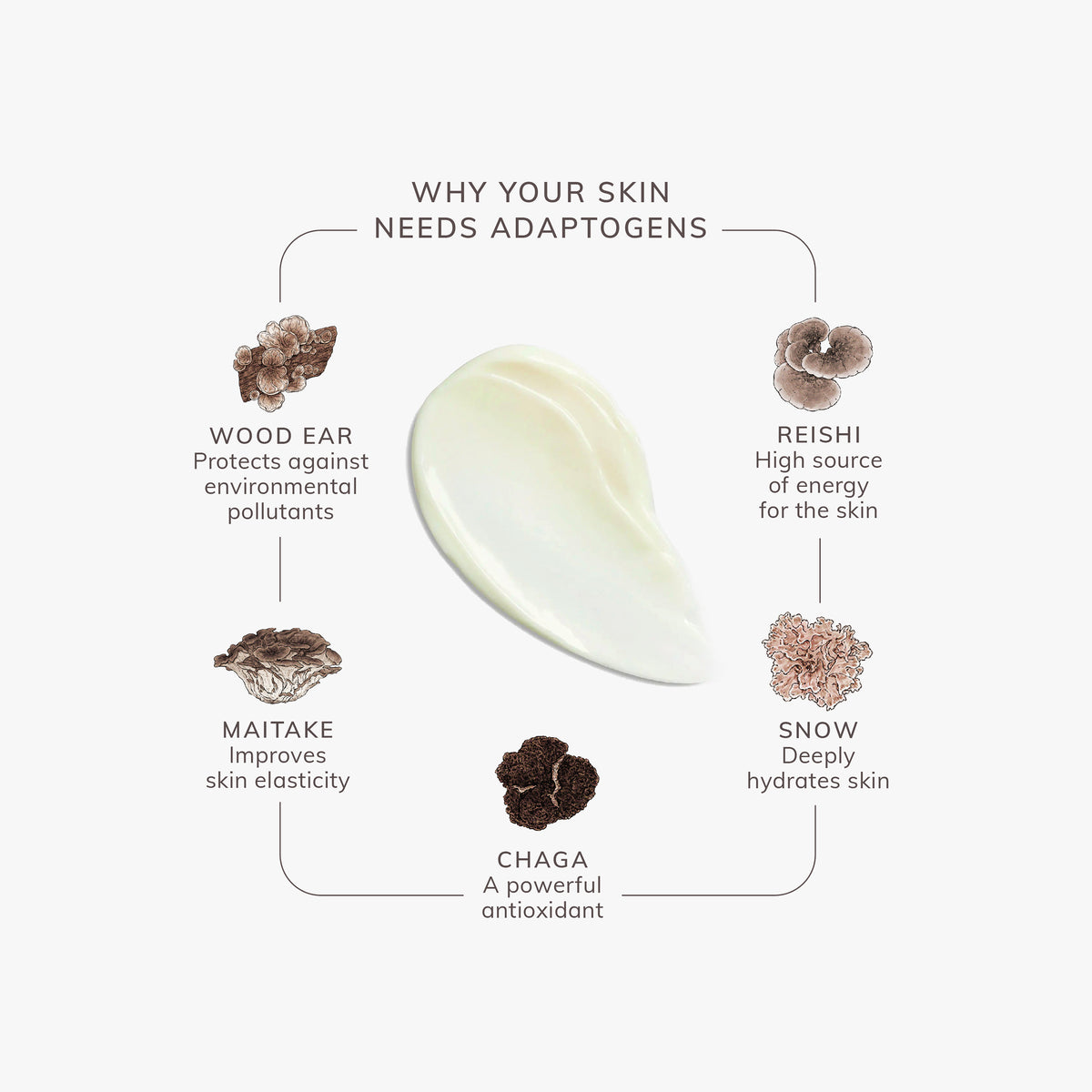 5 Mushroom Moisturizer Personal Care Shikohin   