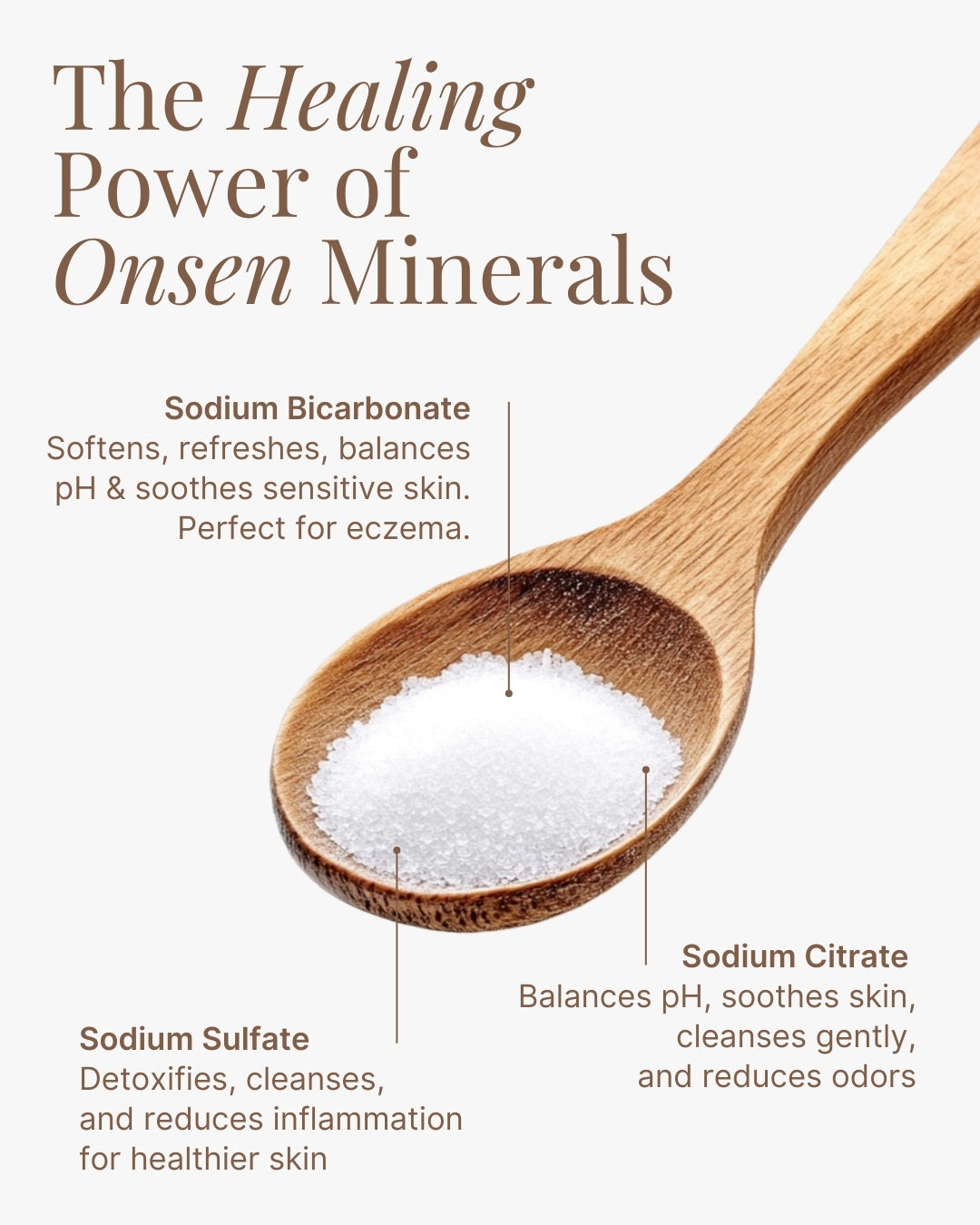 The Family Onsen Set