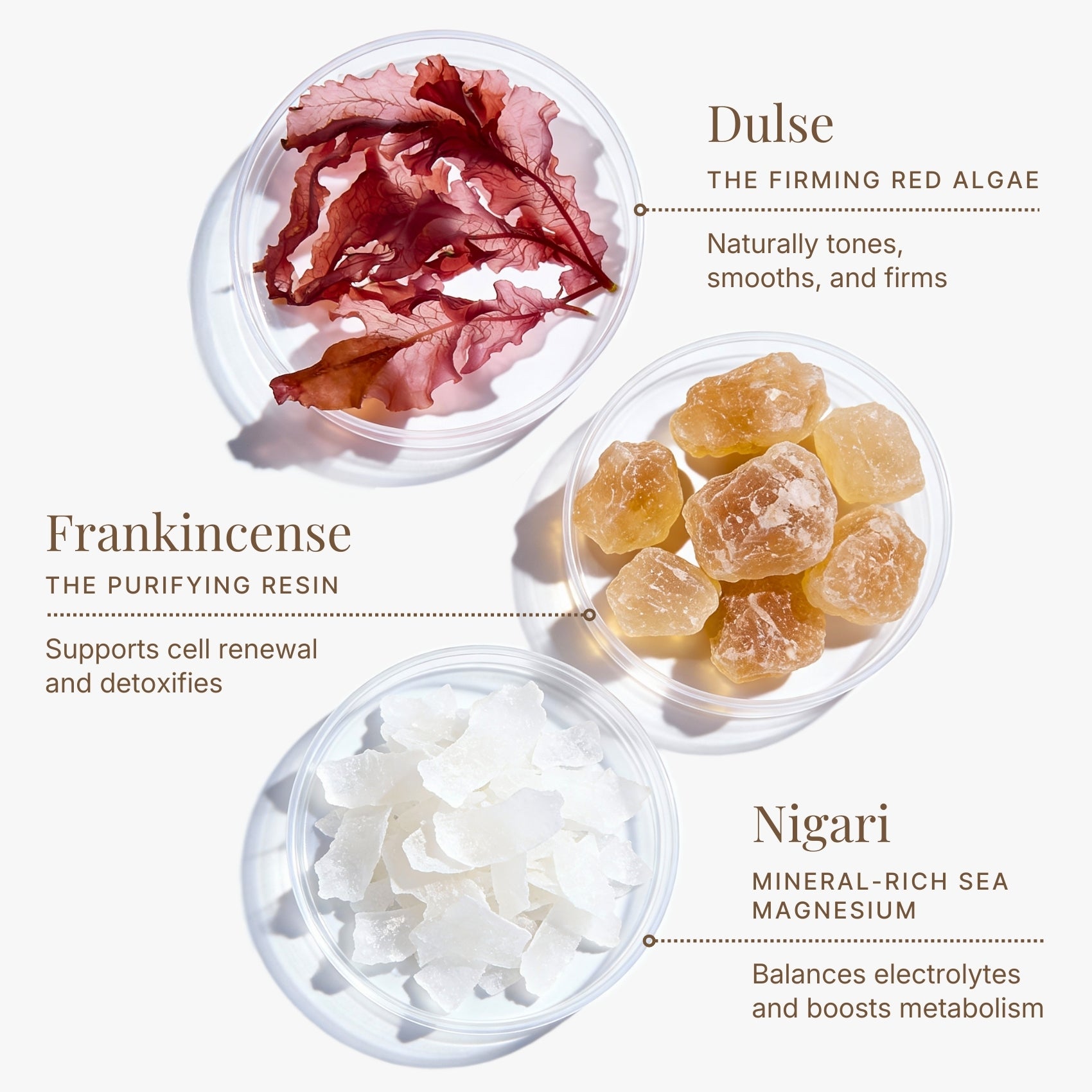 Detox Massage Cream - Shikohin