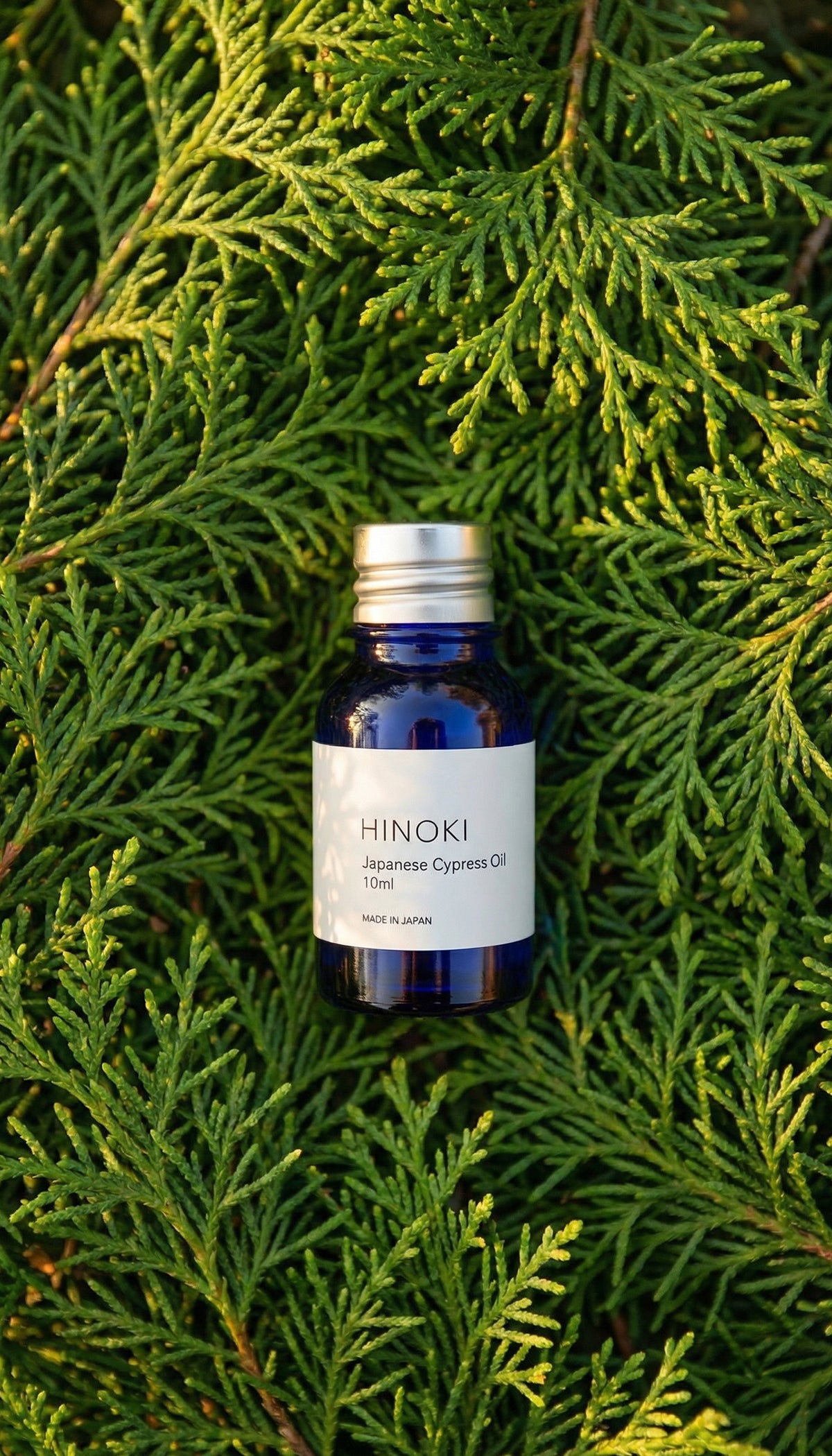 Hinoki Essential Oil