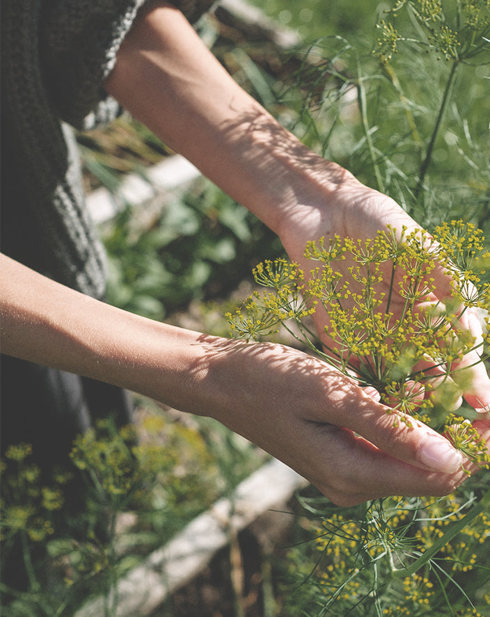 A person examining a flower and respecting nature 